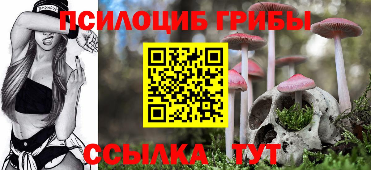 Псилоцибиновые грибы Magic Shrooms  Вход с VPN  Галлюциногенные грибы ЛСД  как найти закладки  Якутск 